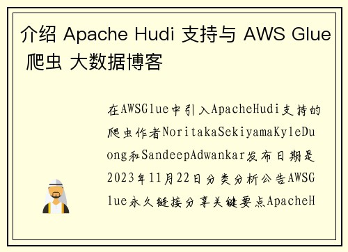 介绍 Apache Hudi 支持与 AWS Glue 爬虫 大数据博客